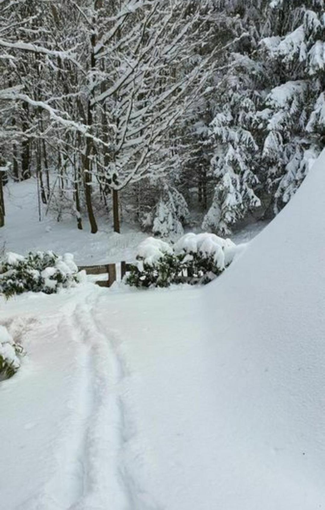 Ferienhaus Am Wald Ronshausen Kültér fotó